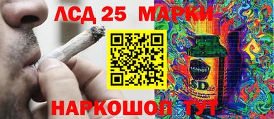 ПСИЛОЦИБИНОВЫЕ ГРИБЫ Обь