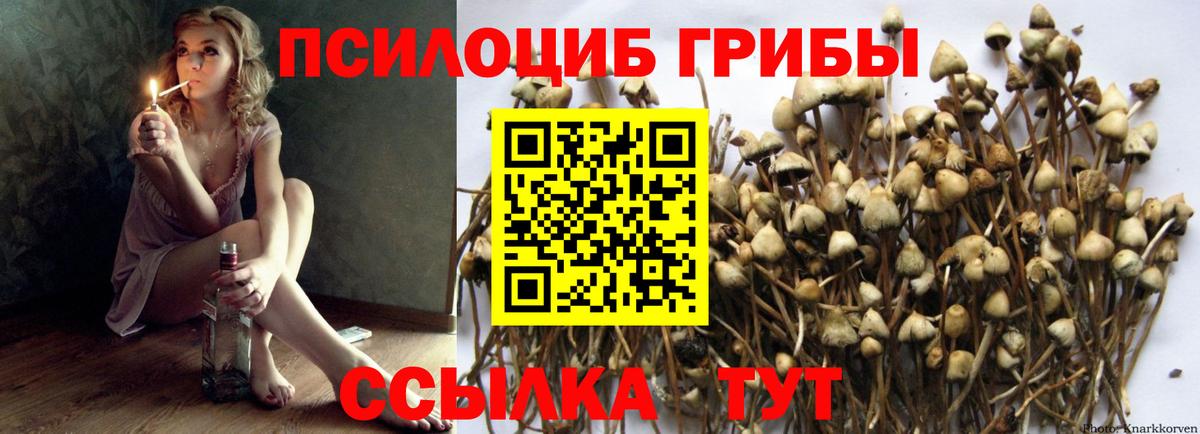 Озёры  Галлюциногенные грибы прущие грибы  Вход с VPN  Галлюциногенные грибы GOLDEN TEACHER 
